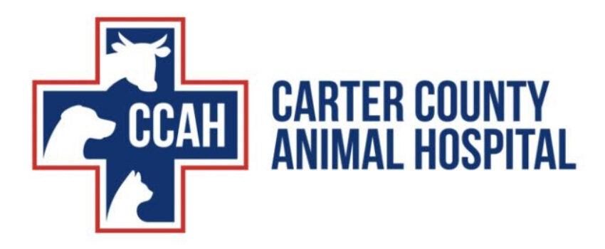 Carter County Animal Hospital